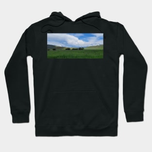 Meadowville Hoodie